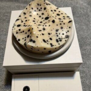 NIB Ume Studio Unique White Grapefruit Erode Soap & Grey Concrete Bouton Dish